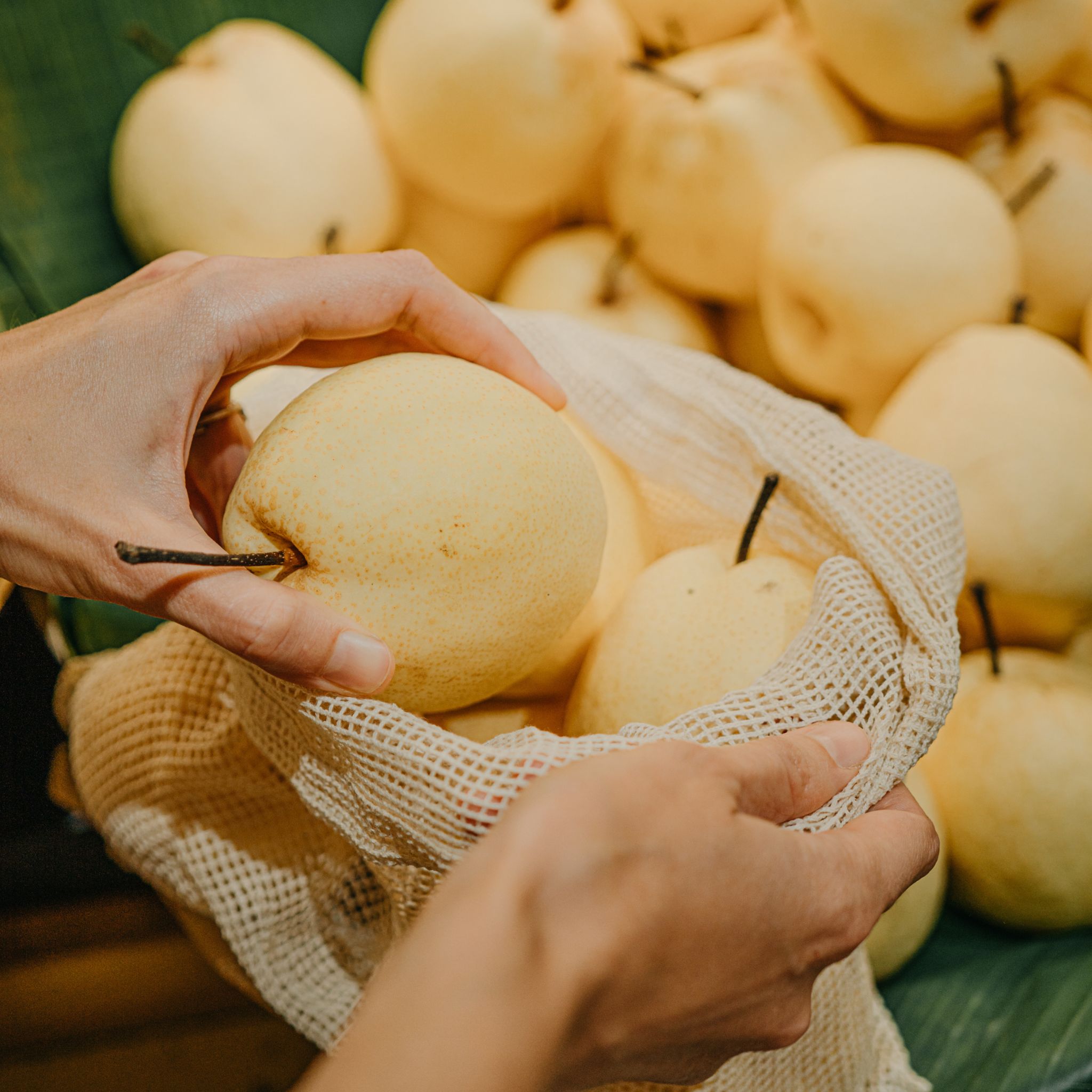 Five Mesh Produce Bags